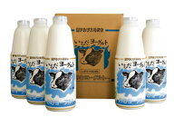 飲むヨーグルト いちだヨーグルト 900ml×5本 (信州市田酪農)(冷蔵)| 飲むヨーグルト ヨーグルト 飲む 生…