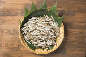 Ⓚ 킩 TCY(15cmj Ɩp 1kg (쌴΋Ƌg)(Ⓚ)| JTM X XY STCY gEgɂǂEEE