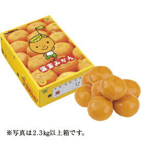山北ハウスミカン L・2.3kg以上 高知県産（JA高知県）