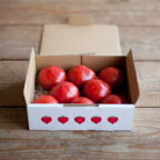 情熱ハート 1kg (たかしま農園) | 長崎 フルーティトマト tomato トマト 高糖度 (n)