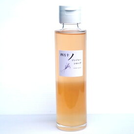 楽天市場 ジンジャー シロップの通販