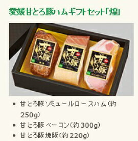 ハムギフトセット 「煌」 愛媛 甘とろ豚 (株)ビージョイ ロースハム ベーコン 焼き豚 セット ギフト 贈り物 プレゼント お中元 歳暮
