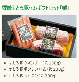 ハムギフトセット 「雅」 愛媛 甘とろ豚 (株)ビージョイ ウィンナー ボンレスハム ベーコン セット ギフト 贈り物