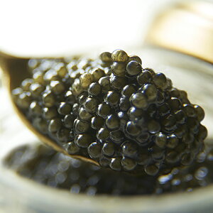 At @c LrA 20g | LrA `EU  EO咿