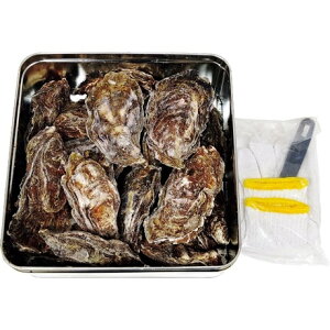 LỸJJĂ Ⓚkt1.6kg(1220)(LƋgA)