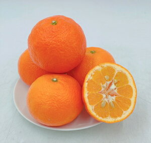 y\̔zyԌ̔z119菇@QY ɗ\ ԏG 2L-LTCY 5kg (tWAOt|Y)