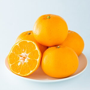 【予約販売】【期間限定販売】※2月20日より順次発送 愛媛県中島産 はるみ 秀 L-Sサイズ 3kg (フジアグリフ−ズ)