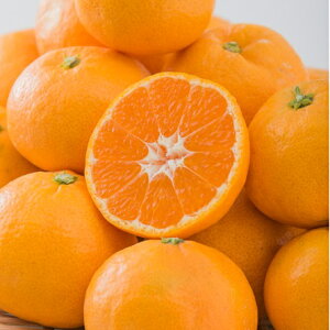 y\̔zyԌ̔z1110菇@QY@B݂@G@L-STCY @3kg (tWAOt|Y)