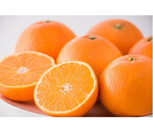 y\̔zyԌ̔z122菇@QY@28@ԏGipj@3L-LTCY@3kg (tWAOt|Y)