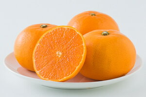 y\̔zyԌ̔z31菇@QY Ƃ G 3L-LTCY 3kgitWAOt|Yj