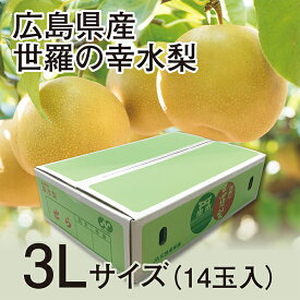 【予約販売8月21日より順次発送】 広島県産 世羅の幸水梨 3Lサイズ14玉入り