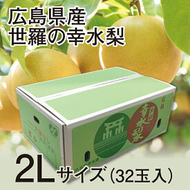 【予約販売8月21日より順次発送】 広島県産 世羅の幸水梨 2Lサイズ32玉入り