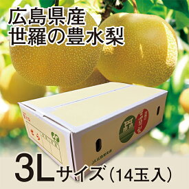 【予約販売9月11日より順次発送】 広島県産 世羅の豊水梨 3Lサイズ14玉入り