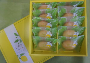 ˓YP[L 10@iLCGjb َq َq  Mtg Zbg v[g 蕨 Q Q yY R