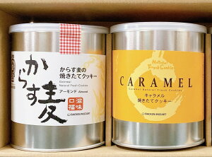 炷NbL[2ʓiA[hELj (obP[cAg)| NbL[ A[h A[h ~bNXʁ@2 [c@g