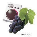 【予約販売　8月23日より順次発送】【期間限定販売】三次ピオーネ 無地 約2kg（4-5房入）三次ピオーネ生産組合 | 広島