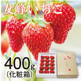 【期間限定販売】香川県小豆島産　女峰いちご　400g　化粧箱入り