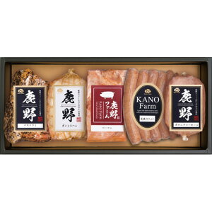 Ε Ε Mtg 蕨  v[g \[VMtgbt@[ 썂nMtgij YT-501