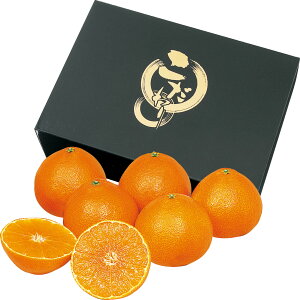 Ε Ε Mtg 蕨  v[g \[VMtgbQY g܂ǂ 2L6