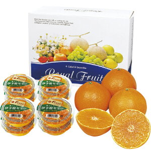 Ε Ε Mtg 蕨  v[g \[VMtgbQY QYg܂ǂ&ɗ\[[Zbg