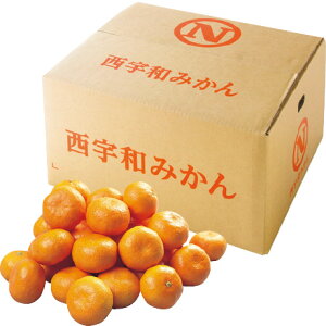 Ε Ε Mtg 蕨  v[g \[VMtgbQYiJAɂ̊ۋIj ̊ۂ݂ SE10kg