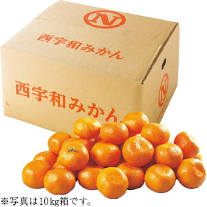 Ε Ε Mtg 蕨  v[g \[VMtgbQYiJAɂ㋤Ij Fa݂ M`LE5kg