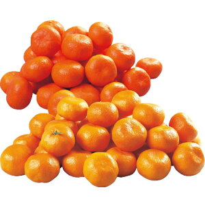 Ε Ε Mtg 蕨  v[g \[VMtgb쌧Y g݂Ƒ]ۂ݂̃Zbg