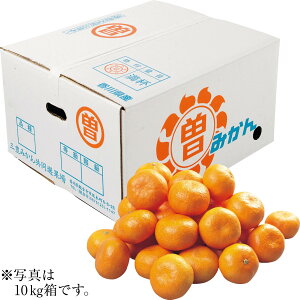 Ε Ε Mtg 蕨  v[g \[VMtgb쌧Y ]ۂ݂ M`LE10kg