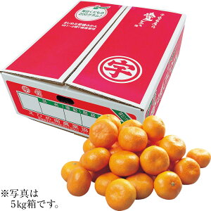 Ε Ε Mtg 蕨  v[g \[VMtgbQYiJAЂߓʒËIj ʒÂ݂ ME5kg