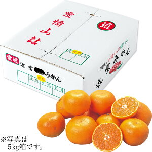 Ε Ε Mtg 蕨  v[g \[VMtgbQlsYiߓ_j ߓ݂ ME3kg