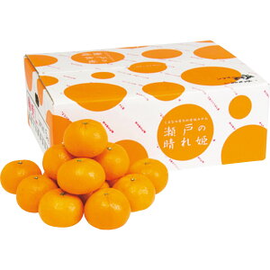 Ε Ε Mtg 蕨  v[g \[VMtgbQY ˂̐P 2L`ME4kg