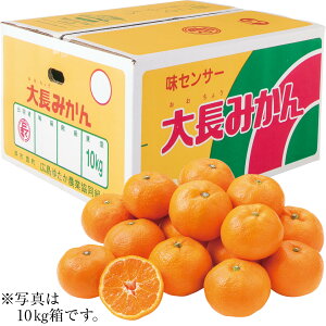 Ε Ε Mtg 蕨  v[g \[VMtgbLYiJAL䂽j 咷݂ S`LE10kg