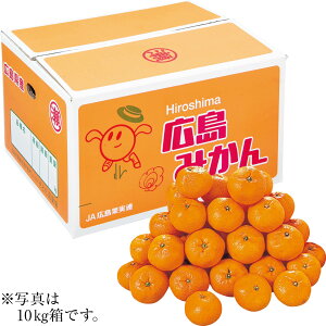 Ε Ε Mtg 蕨  v[g \[VMtgbLYiJAЂ낵 ƂIʏj L݂ S`LE5kg