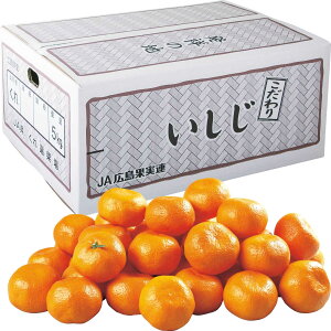 Ε Ε Mtg 蕨  v[g \[VMtgbLYiJAЂ낵 Iʏj 肢݂ S`LE5kg