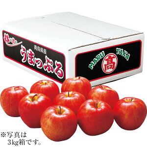 お歳暮 御歳暮 ギフト 贈り物 贈答 プレゼント ソーシャルギフト|青森県産(高木商店) うまっぷるサンふじりんご 5kg