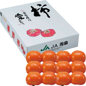 Ε Ε Mtg 蕨  v[g \[VMtgbQYiJAKj ` 12