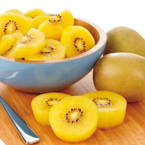 Ε Ε Mtg 蕨  v[g \[VMtgbQY ZespriTS[hLEC 