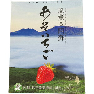 お歳暮 御歳暮 ギフト 贈り物 贈答 プレゼント ソーシャルギフト|熊本県産(JA阿蘇) いちご(恋みのり) 9〜15粒
