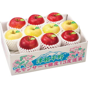 お歳暮 御歳暮 ギフト 贈り物 贈答 プレゼント ソーシャルギフト|青森県産(キョーエイ) 糖度13度選果 シナノスイート・名月・サンふじの甘味系りんご詰合せ 2.5kg