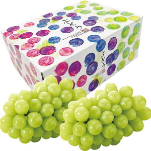 お歳暮 御歳暮 ギフト 贈り物 贈答 プレゼント ソーシャルギフト|長野県産 シャインマスカット 600g以上×2房