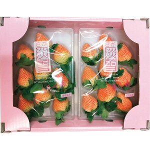 お歳暮 御歳暮 ギフト 贈り物 贈答 プレゼント ソーシャルギフト|佐賀県産 いちご(淡雪)