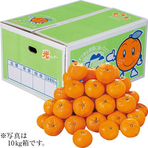 Ε Ε Mtg 蕨  v[g \[VMtgbRYiJARj R哇݂ M`LE10kg