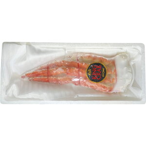 Ε Ε Mtg 蕨  v[g \[VMtgbDya {C΂Ɍ