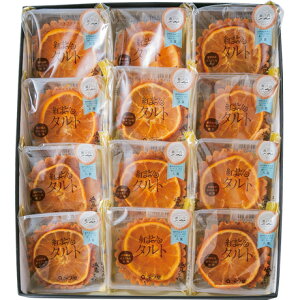 Ε Ε Mtg 蕨  v[g \[VMtgbiv g܂ǂȃ^g 12