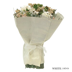  ~j Mtg u[P J[A\[g (S4Fj bsO S16`17cm  ԑ pu[P ͂Ȃ X^fBOu[P CeA fBXvC uC_ EFJXy