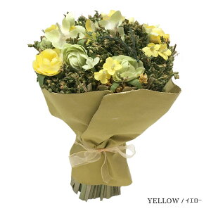 ���� �~�j �M�t�g �u�[�P �J���[�A�\�[�g (�S4�F�j ���b�s���O���� �S��16�`17cm ���� �ԑ� �����p�u�[�P �͂�Ȃ� �X�^���f�B���O�u�[�P �C���e���A �f�B�X�v���C �u���C�_�� �E�F���J���X�y