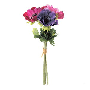  All o` ip[vj S22cm ԑ ԍ CeA fBXvC