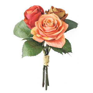  [Y u[P iAvRbgj S22cm o KN ԑ ԍ CeA fBXvC