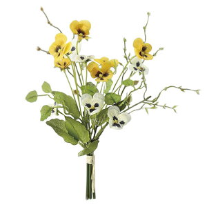  pW[ o` iCG[j S23cm t[AW ͂Ȃ sv p CeA fBXvC X  Be  uC_ EFJXy[X H ~ t y[