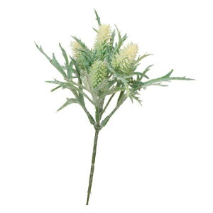  GWE sbN iCgO[j S19cm O[ ԑ ԍ A CeA fBXvC